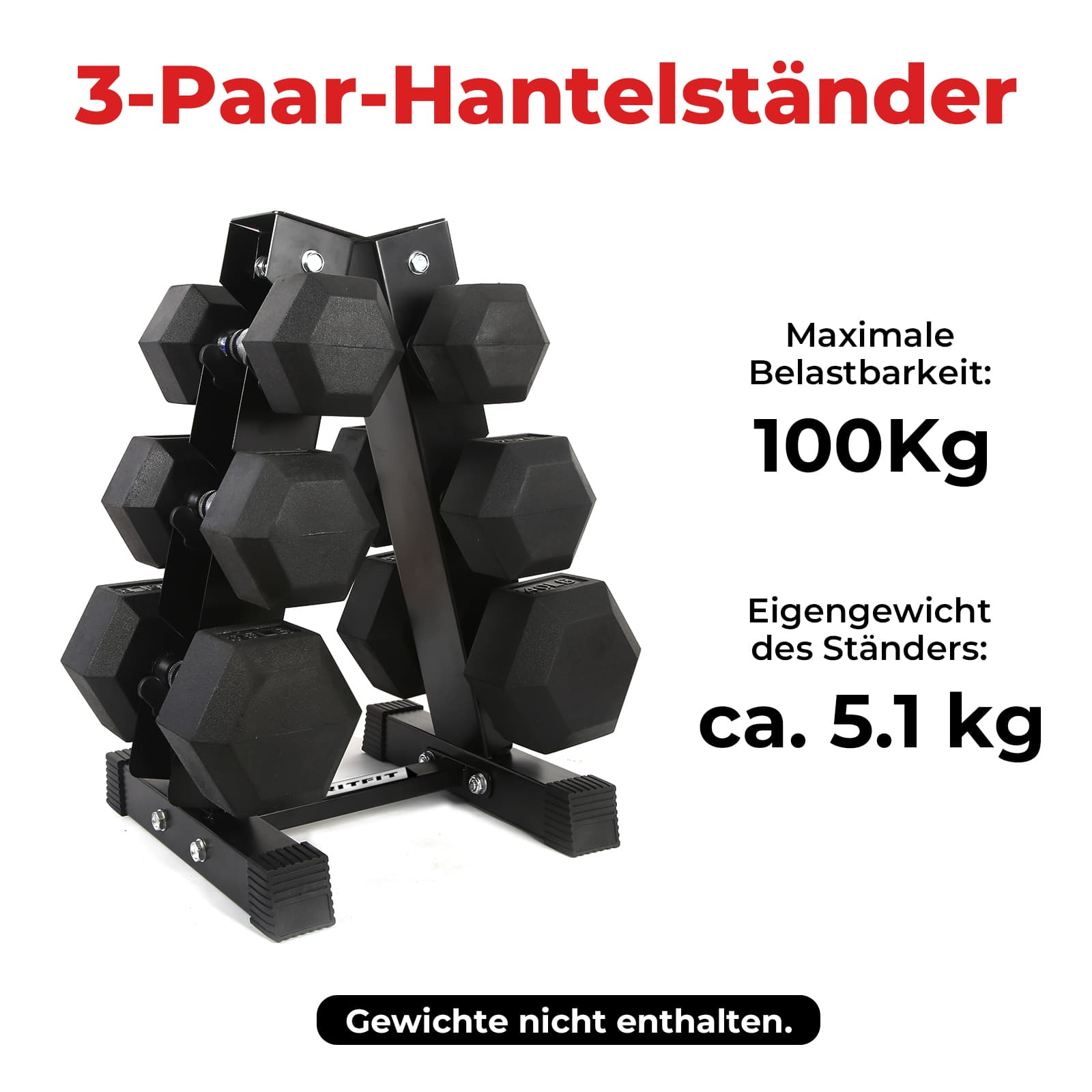 RitFit A-Frame Kurzhantelständer