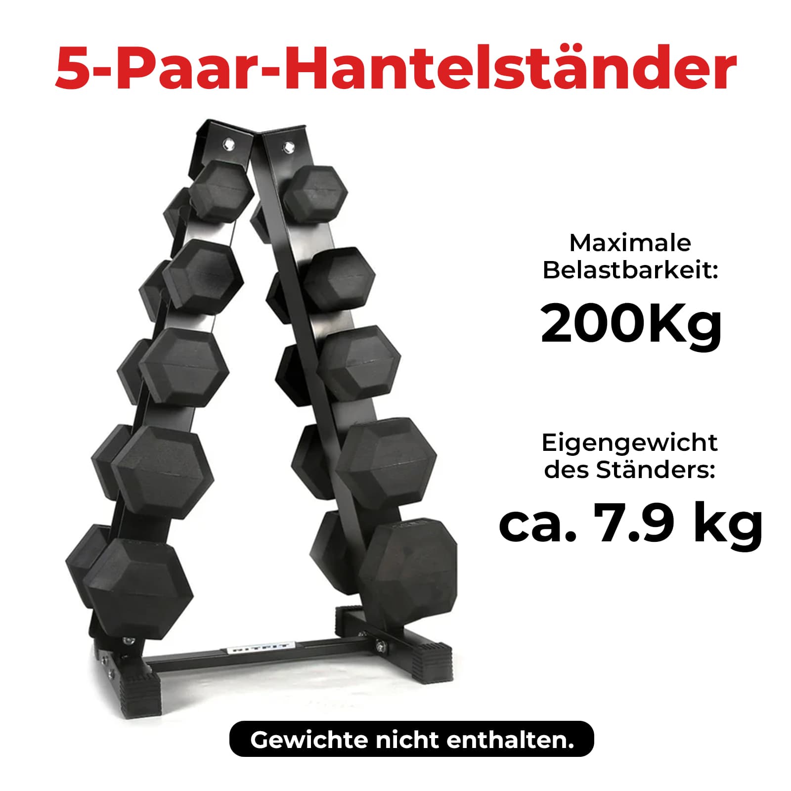 RitFit A-Frame Kurzhantelständer