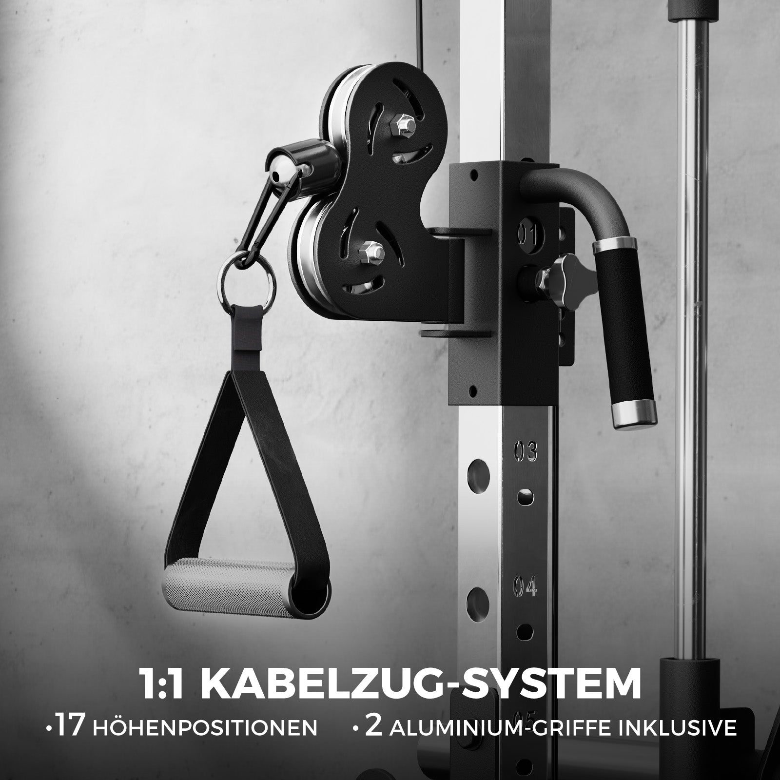 RitFit BPC06 Smith Maschine mit Kabelzug-System, schwarzen Rollen und Aluminium-Griffen am Rahmen