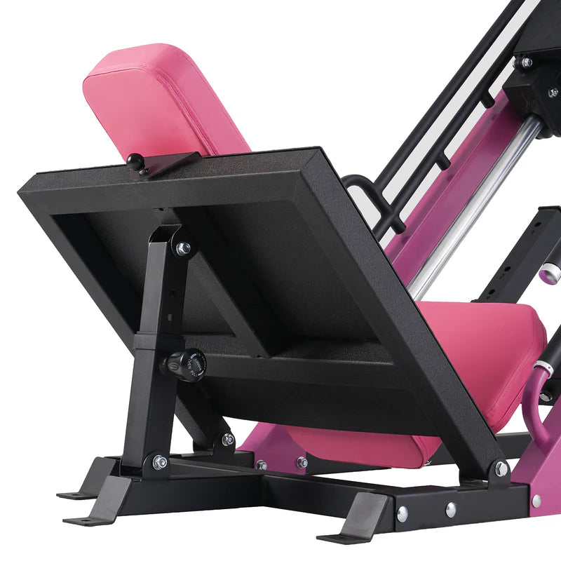 RitFit Gazelle Beinpresse & Hackenschmidt Maschine