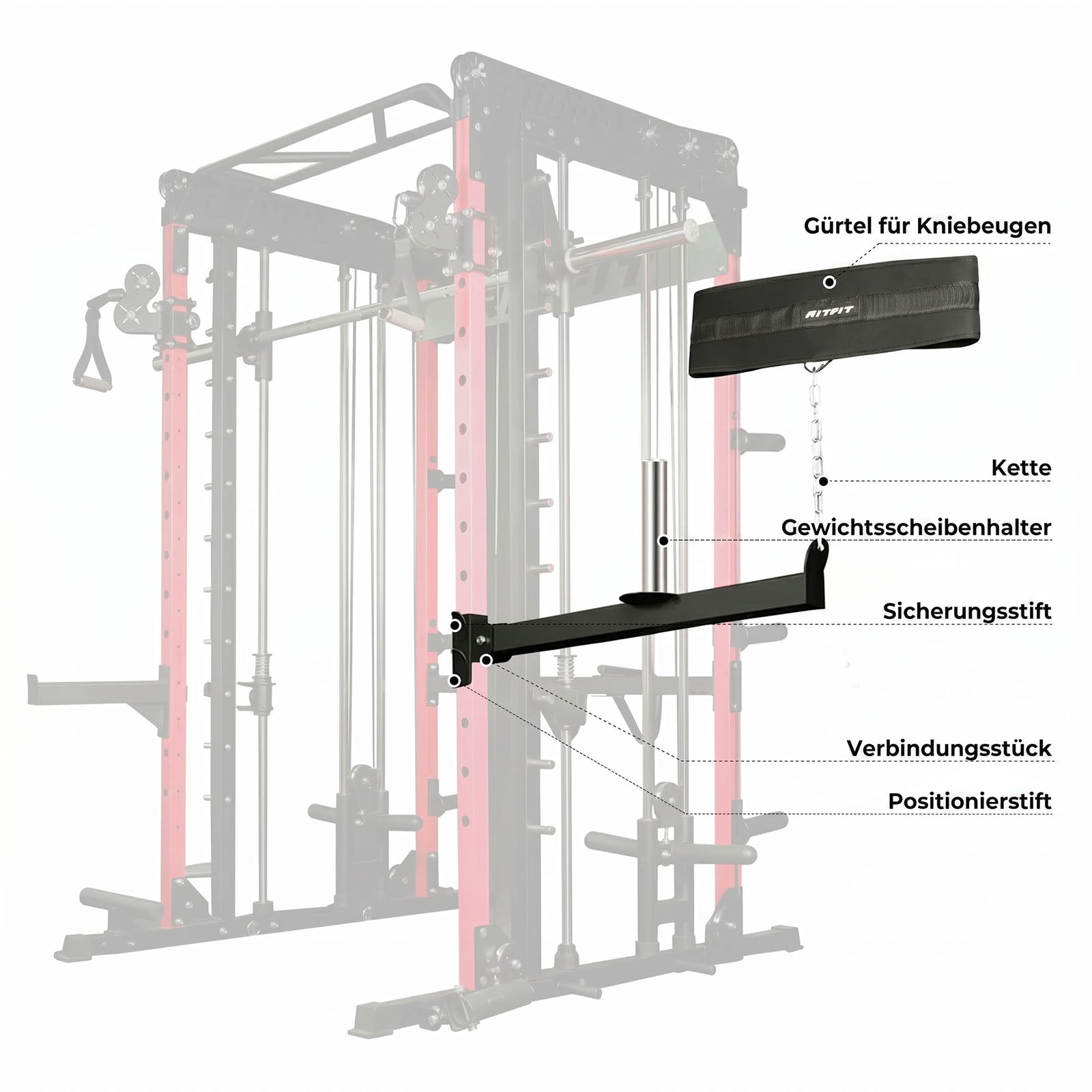 RitFit AT03 Gürtel-Kniebeugen-Gestellaufsatz mit schwarzem Gürtel, Kette und Gewichtsscheibenhalter am Power Rack