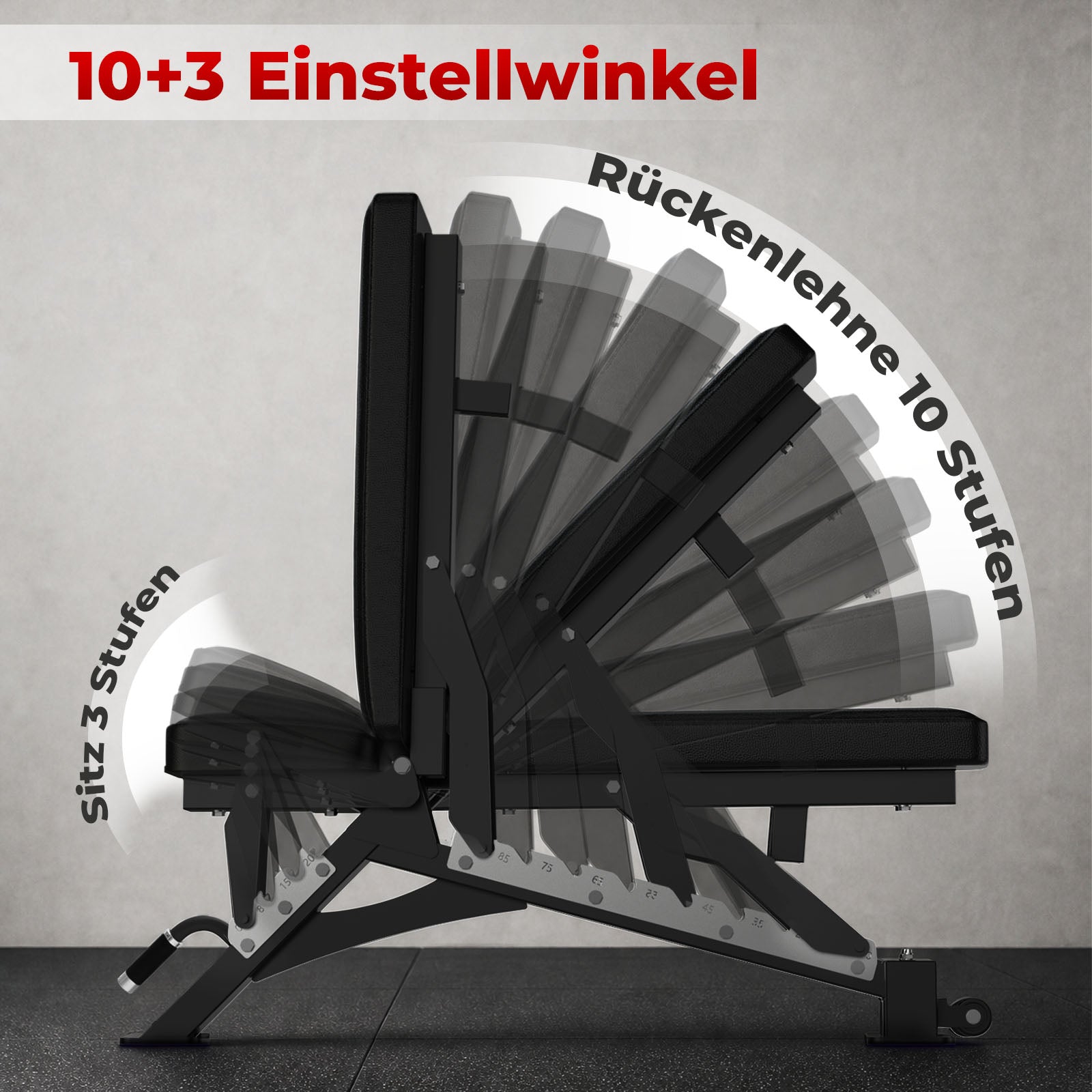 Schwarze RitFit BWB01 Hantelbank mit verschiedenen Einstellwinkeln für Rückenlehne und Sitz